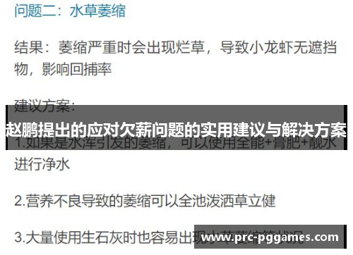 赵鹏提出的应对欠薪问题的实用建议与解决方案 赵鹏提出的应对欠薪问题的实用建议与解决方案